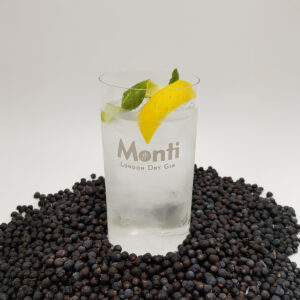 Monti London dry gin - Botella