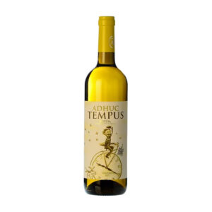 Vino blanco rueda verdejo Tempus - Botella
