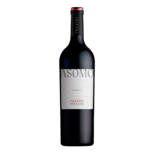 Vino Tinto Figuero 4 Tempranillo - Botella